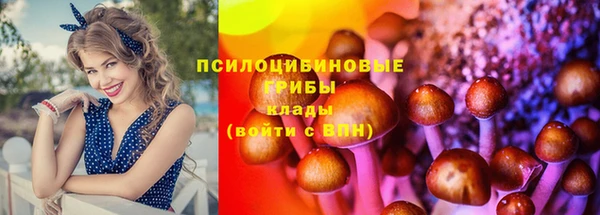 мет Алексин