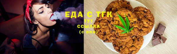 мет Алексин