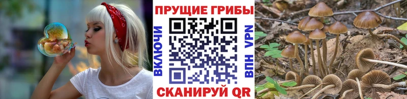 Галлюциногенные грибы ЛСД  Черемхово 
